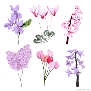 水彩丁香花图片大全