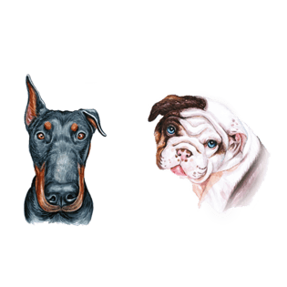 狗头png图片大全