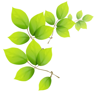 绿叶子模板