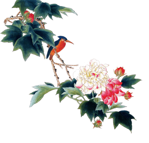 芙蓉花手绘pngpsd2000*2000国潮装饰圆形边框国潮插画卡通元素pngpsd