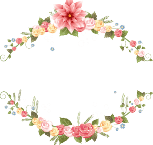 花边花圈花纹
