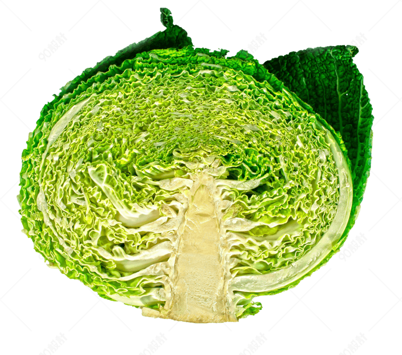 切开横切面蔬菜植物包菜【免抠元素png-90设计网