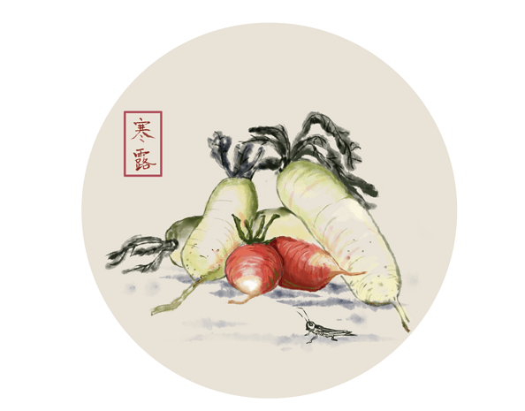 红萝卜图片大全