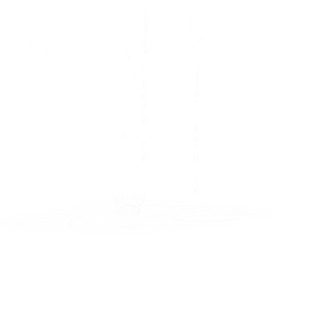 雨点图片大全
