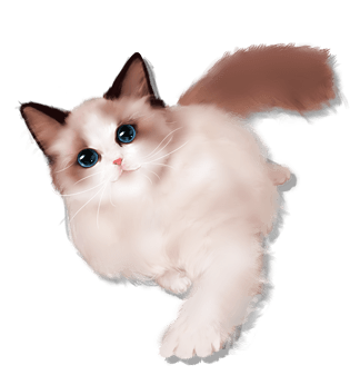 可爱宠物布偶猫插画