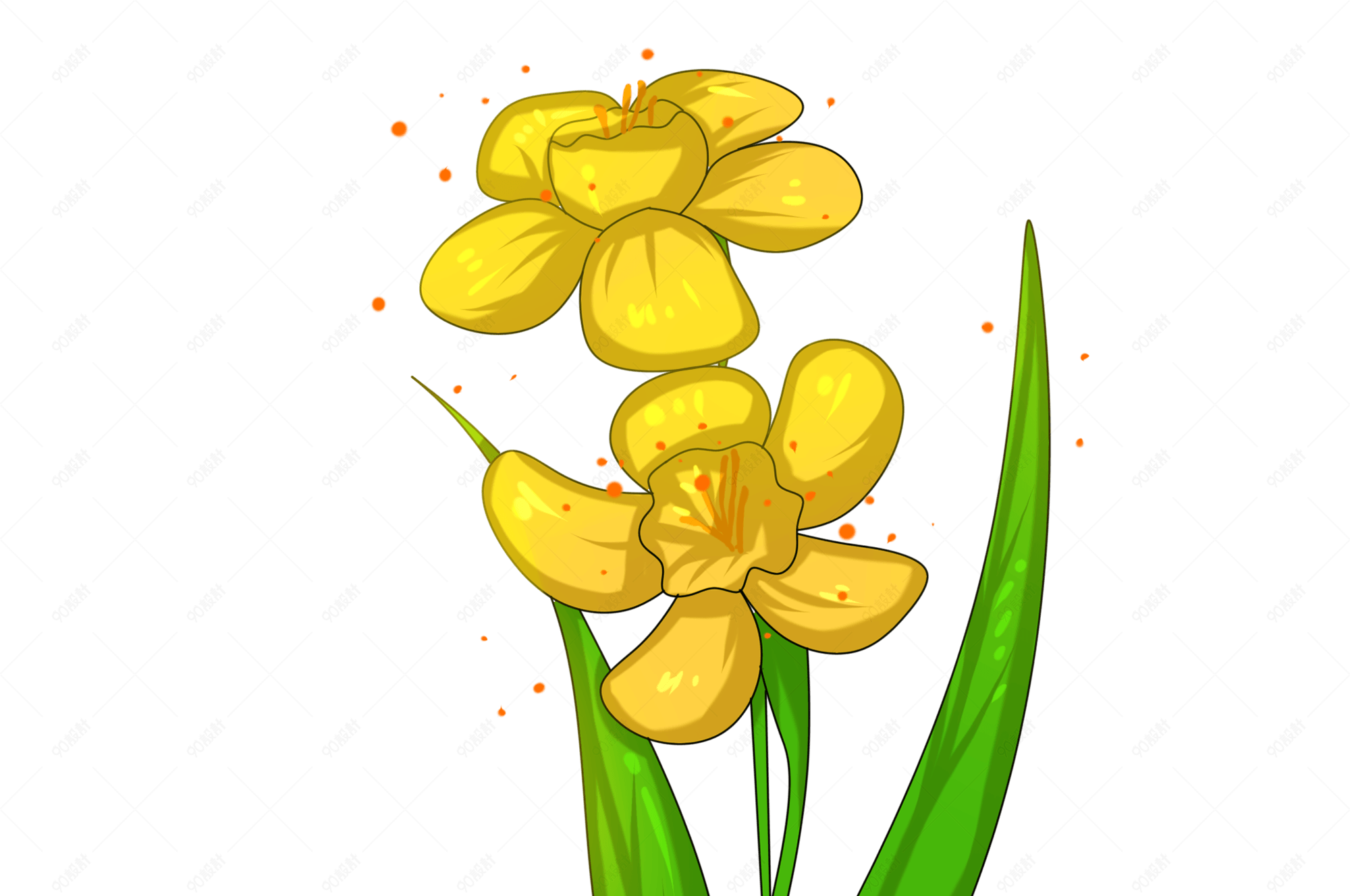 卡通手绘黄色水仙花插画