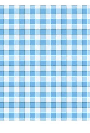 蓝白格图片