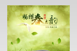 2016详情页春夏男鞋海报