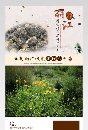 淘宝天猫民族风云南玛卡保健品详情页psd模板