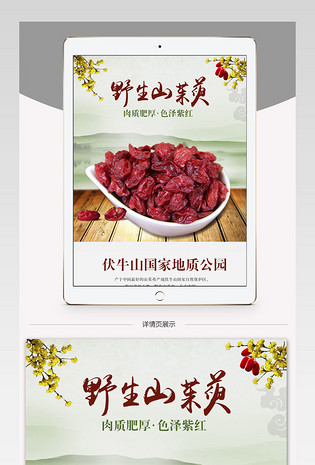 中药草山茱萸时尚简约风详情页psd