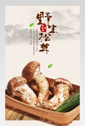 中国风松茸云南特产野生菌土特产详情页 