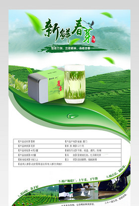 春季新鲜茶叶详情宝贝描述产品描述页通用 