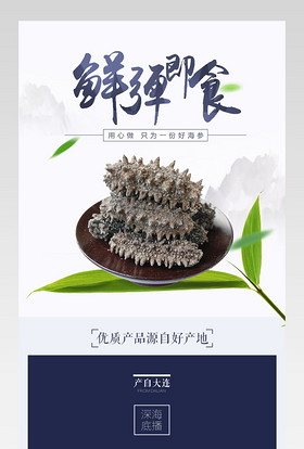 生鲜水果海产品海参详情页PSD模板