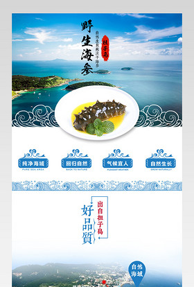 海鲜野生海参详情