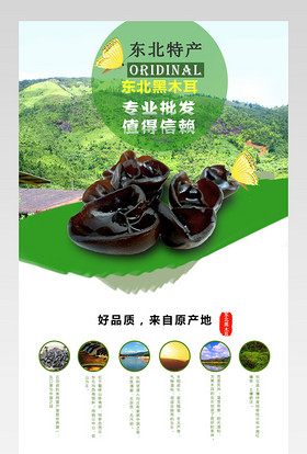 绿色清新风格东北特产美食黑木耳详情PSD模板