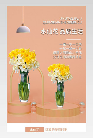 简约风植物系鲜花园艺水仙花种球详情页
