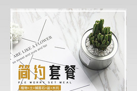 简单小清新花园艺日常通用版简约绿色多肉详情页