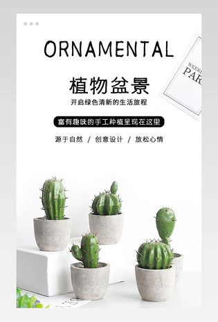 清新现代简约通用仙人掌绿植盆栽装饰品家居盆景详情页