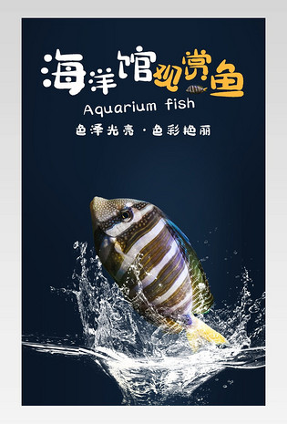 简约清新时尚海洋馆鱼缸家养观赏鱼详情页