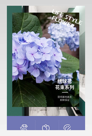 大气简约风日常通用鲜切花鲜花绣球花详情页