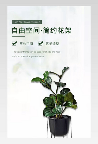 日常通用清新风简约园艺花架详情页