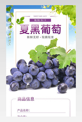 日常通用简约新鲜水果葡萄详情描述页面