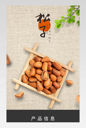 美食零食美味吃货松子果实坚果详情页