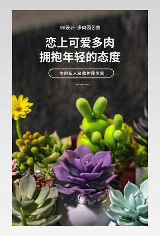 蓝色小清新简约家居绿植多肉详情页