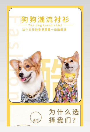 京东简约风狗狗潮流衬衫店铺详情页