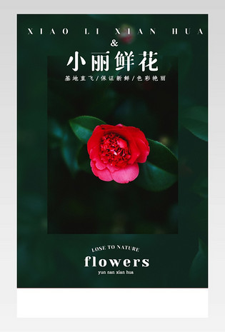 七夕节园艺庭院清新简约鲜切花盆栽植物详情页