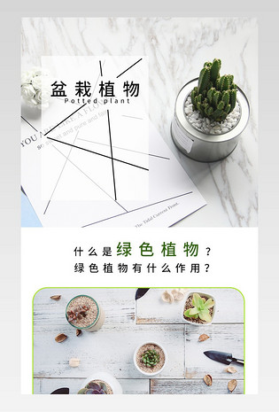 京东简约风盆栽观赏植物详情页店铺装修