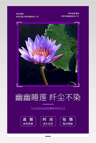 京东简约风鲜花园艺鲜切花睡莲详情页