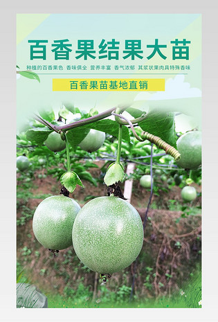 百香果苗详情页绿色详情页植物果苗