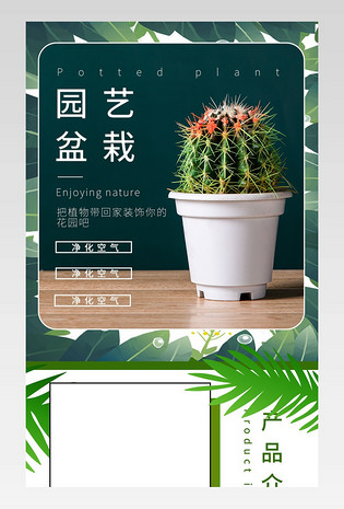 京东简约风店铺装修用园艺盆栽详情页