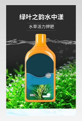 水草边框设计模板 水草边框图片大全 免费下载 90设计网