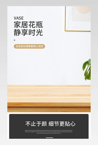 日系家居风插花瓶景观瓶花盆植物瓶生态瓶详情页描述