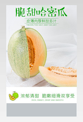 小清新简约风水果哈密瓜详情页产品描述页通用