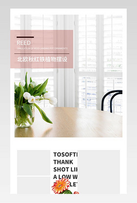 ins风极简风北欧风简约时尚装饰品绿植摆设详情页