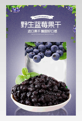 蓝莓果干食品茶饮详情描述页面介绍