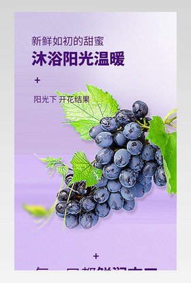 日常通用简约新鲜水果葡萄详情描述页面