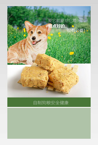 简约风格日常需求宠物用品详情页