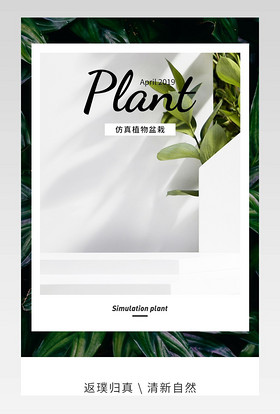 时尚简约小清新仿真绿植多肉详情页