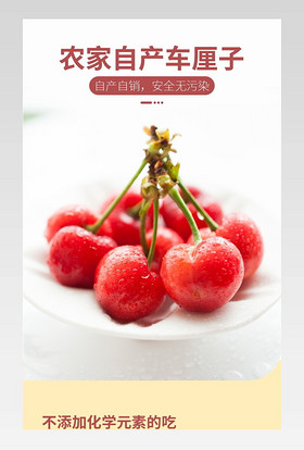 生鲜水果简约樱桃详情页车厘子描述页