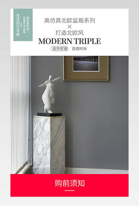 北欧风ins风时尚简约素雅装饰仿真叶仿真盆栽详情页