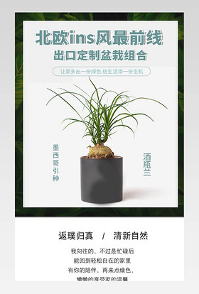 简约清新绿色多肉盆栽绿植详情页
