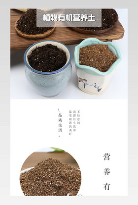有机营养土清新植物多肉绿植详情