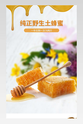 农产士特产蜂蜜纯正天然野生深山土蜂蜜农家自产百花蜜正品成熟结晶蜜