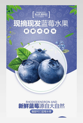 食品简约蓝莓新鲜水果详情页面描述