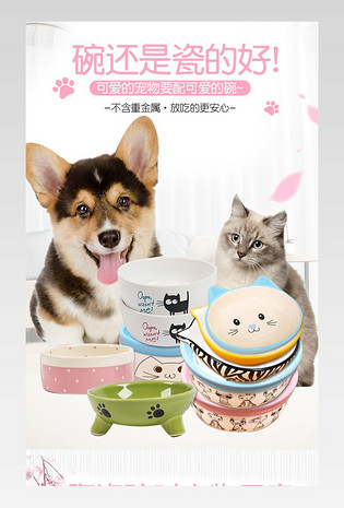 可爱日常通用宠物用品宠物食碗详情页
