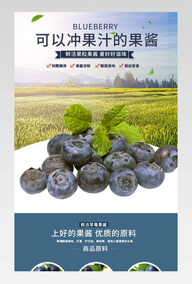 时尚小清新蓝莓酱果酱详情页活动页